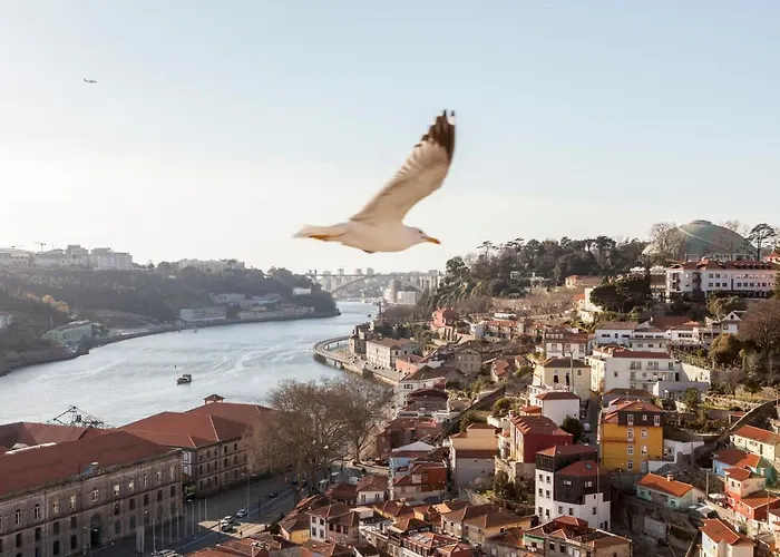 Citybreak-Apartments Douro View OOporto che accetta animali